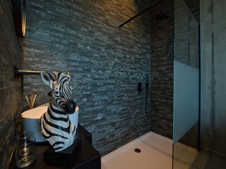 Villa Visé Características 20