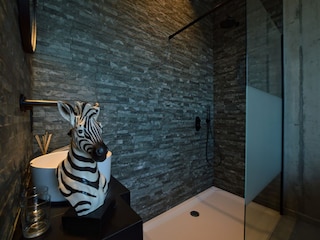 Villa Visé Características 17