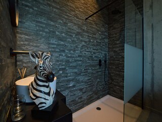 Villa Visé Équipement 17