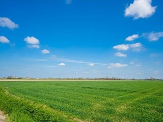 Type de propriété : Ferme Veen Environnement 38