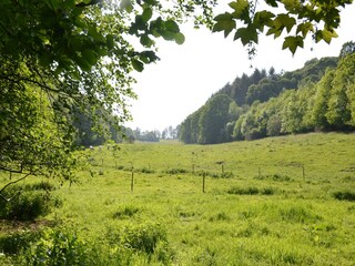 Ferienhaus Maredret Umgebung 30