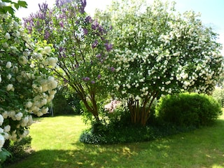 Vakantiehuis Maredret  36