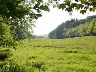 Ferienhaus Maredret Umgebung 30