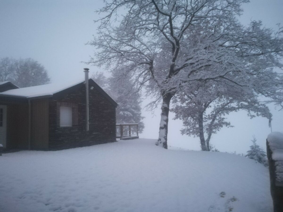 Chalet Lierneux Environnement 1