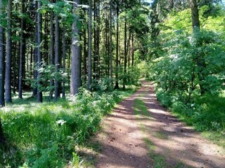 Holiday house Jirikov Environment 32