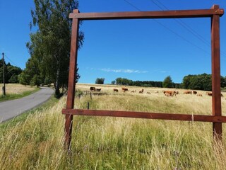 Ferienhaus Jirikov Umgebung 27