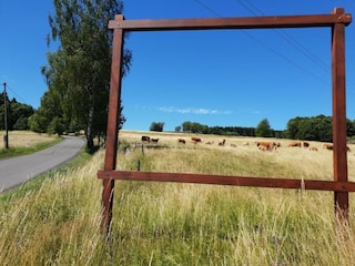 Holiday house Jirikov Environment 27