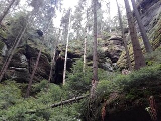 Casa per le vacanze Jirikov Ambiente 28