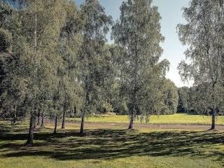 Maison de vacances Jirikov Environnement 37