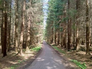 Holiday house Jirikov Environment 31