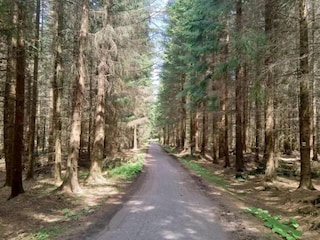 Holiday house Jirikov Environment 34