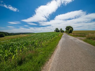 Vakantiehuis Bastogne Omgeving 31