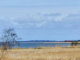 Ferienhaus Mielno Umgebung 28