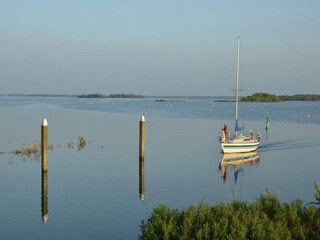 Vakantiehuis Oude-Tonge Omgeving 39