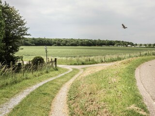 Vakantiehuis Oude-Tonge Omgeving 41