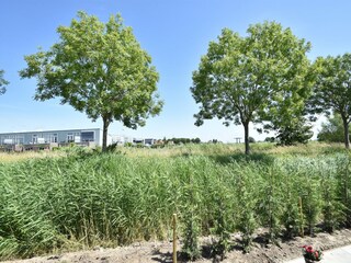 Casa per le vacanze Oude-Tonge Registrazione all'aperto 8