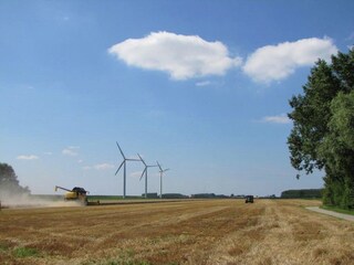 Maison de vacances Oude-Tonge Environnement 36
