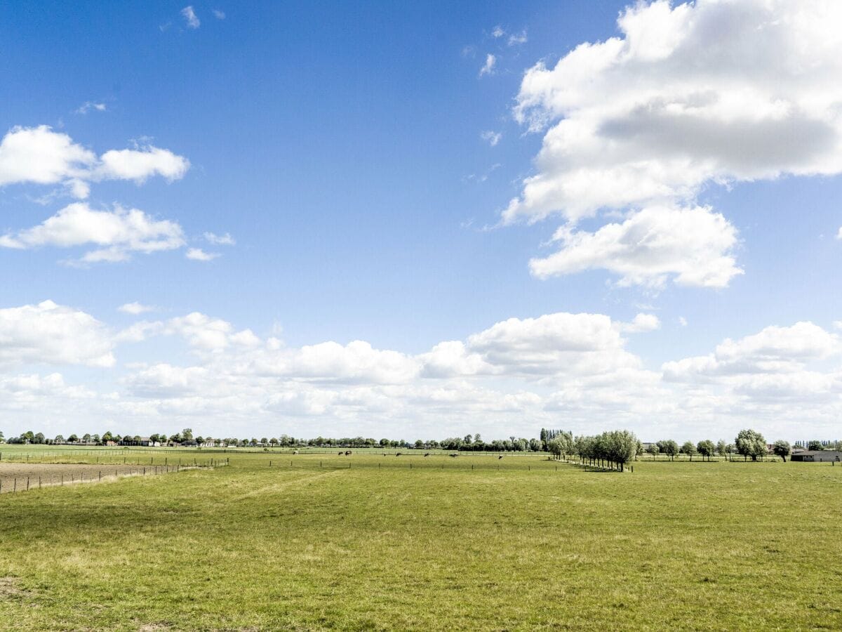 Holiday house Poperinge Outdoor Recording 1