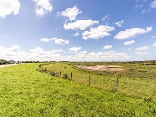 Holiday house Nieuwvliet Environment 29