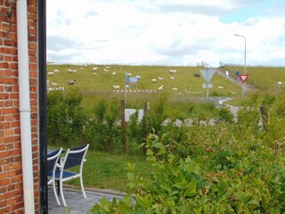 Holiday house Nieuwvliet Environment 32