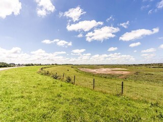 Vakantiehuis Nieuwvliet Omgeving 32