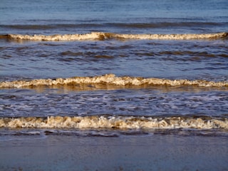 Ferienhaus Nieuwvliet Umgebung 30