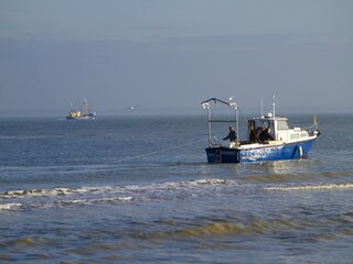 Maison de vacances Nieuwvliet Environnement 35