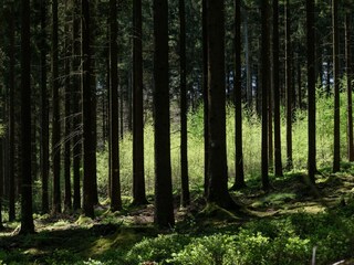 Casa per le vacanze Amel Ambiente 39