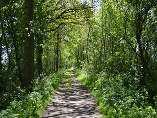 Casa de vacaciones Eastermar Entorno 31