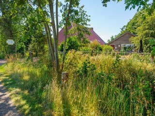 Vakantiehuis Eastermar Omgeving 31