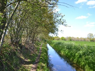 Vakantiehuis Eastermar Omgeving 29