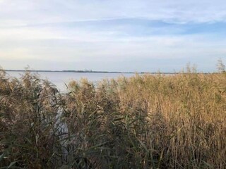 Vakantiehuis Eastermar Omgeving 36