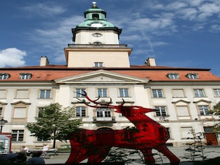 Landhaus Janowice Wielkie Umgebung 26