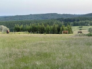Appartement Houffalize Environnement 39