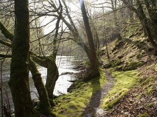 Appartement Houffalize Environnement 31