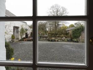 Maison de vacances isolée à Ceredigion avec jardin - Lampe - image1