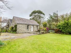 Vakantiehuis Comfortabele cottage in Ceredigion met terras - Lampter - image1