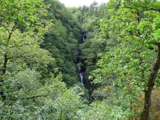 Vakantiehuis Lampeter Omgeving 38