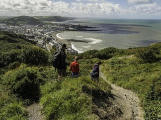 Ferienhaus Lampeter Umgebung 40