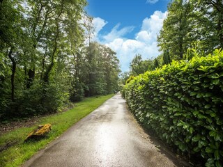 Vakantiehuis Lanaken Omgeving 27