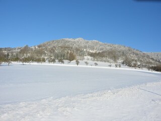 Chalet Turnov Umgebung 28