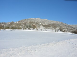 Chalet Turnov Environnement 30