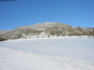 Chalet Turnov Umgebung 38