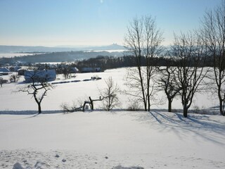 Chalet Turnov Environnement 24