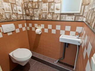 Casa de vacaciones Maasbommel Características 19