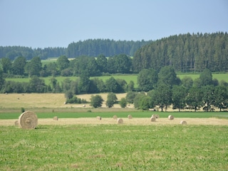 Ferienhaus Daverdisse Umgebung 23