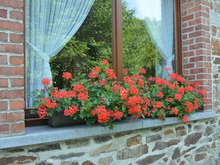 Ferienhaus Daverdisse  28