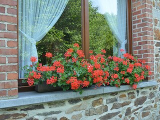 Vakantiehuis Daverdisse  28