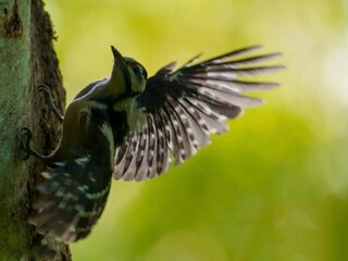 Casa de vacaciones Daverdisse Entorno 25