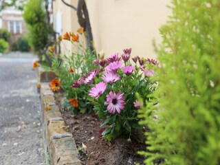 Holiday house Daverdisse  28